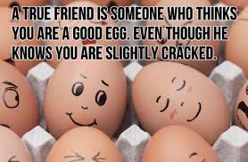 funny-friendship-quotes-tumblr-9 - Folks Daily via Relatably.com