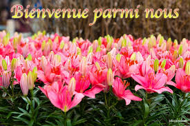image pour souhaiter la bienvenue