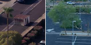 AZFamily - News update