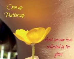 Message for Oscar: Chin Up, Buttercup | SUPPORT FOR OSCAR PISTORIUS via Relatably.com