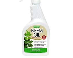 Image of Neem oil spray