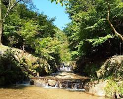 水分峡森林公園の画像