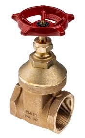 RS PRO Gate Valve 2 in, 2 in | RS