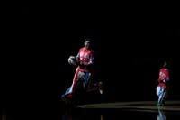 harlem globetrotters