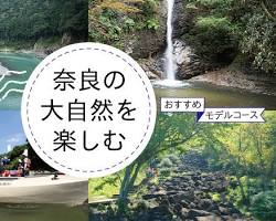奈良の画像
