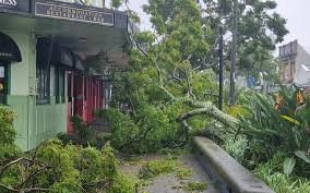 'New Zealanders are like sheep': The business impact of weather warnings