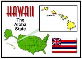 Image result for hawaii state clipart