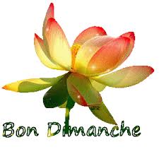 Résultat de recherche d'images pour "bon dimanche soleil"