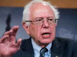 Image result for bernie sanders