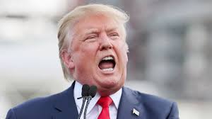 Image result for Donald Trump