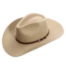 Image result for cowboy hats