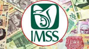 Pago Febrero Pensiones Imss