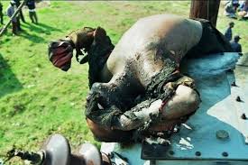 Image result for electricalrubbermate