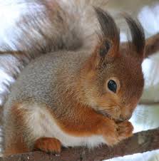 R&eacute;sultat de recherche d'images pour 