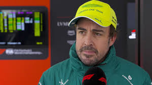 Fernando Alonso says he could not 'physically' continue in the Chinese Grand Prix