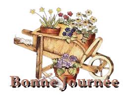 Résultat de recherche d'images pour "gif bonne journee"