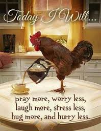 Image result for rooster good morning