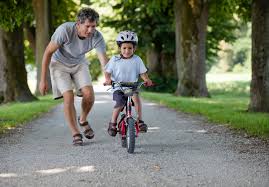 ผลการค้นหารูปภาพสำหรับ bike for dad