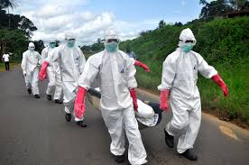 Image result for ebola virus