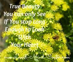 Quotes About Yellow Flowers. QuotesGram via Relatably.com