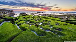 Image result for pictures gallery for amazing places of the world