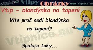 Výsledok vyhľadávania obrázkov pre dopyt obrazkove vtipy