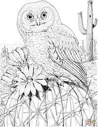 Résultat de recherche d'images pour "cactus coloring pages"