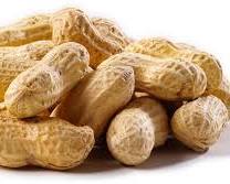 Peanuts