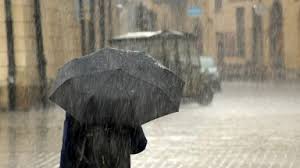 Trend Google: allerta meteo