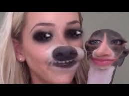 Image result for doge face swap
