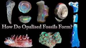 Skyrim Créations - Opalized Skeletons Bright Purple Variation