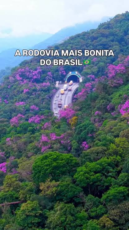 UM ESPETÁCULO NATURAL NA IMIGRANTES! Quem passa pela ...