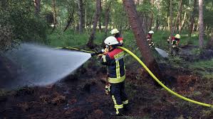 Lehmrade: Feuerwehr kämpft gegen Waldbrand