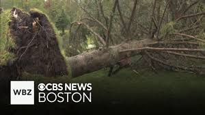 CBS News - News update