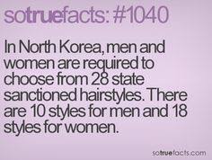 Image result for north korea weird images
