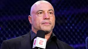 Joe Rogan's MAGA Criticism Sparks Debate with JD Vance