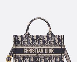 Imagen de Dior Book Tote Mini bag