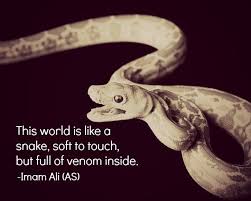 This world is like a snake, soft to touch, but full of venom ... via Relatably.com