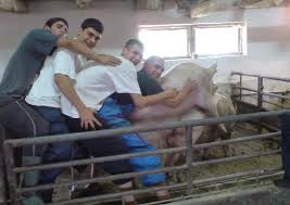 В Украине более 160 тысяч детей-переселенцев, - Минсоцполитики - Цензор.НЕТ 3190