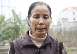 Bà Nguyễn Thị Trọng, nhân chứng vụ việc bán gỗ sưa ở đình Cựu Quán bị đe dọa - Ảnh: Lê Quân - vu_do_go_sua_o_dinh_lang_dem_ban_nhan_chung_vu_ban_go_sua_bi_de_doa_0