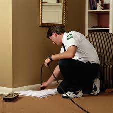carpet cleaners