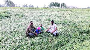 Image result for FARMERS