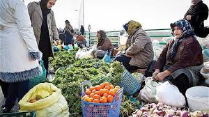 ۳ هزار روستا بازار تا پایان دولت تشکیل می‌شود|باشگاه خبرنگاران