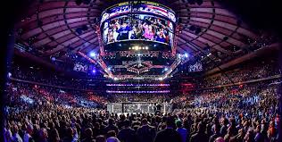 Dana White