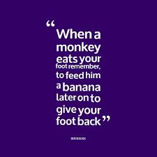 Monkey Quotes. QuotesGram via Relatably.com