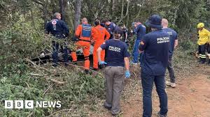 brazil hot air balloon accident