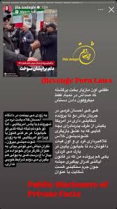 احسان کرمی در آمریکا دادگاهی شد