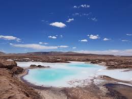 포스코홀딩스 주가