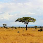 Tsavo East National Park