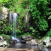 Tamborine National Park